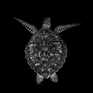 Meet your Posher, Pete